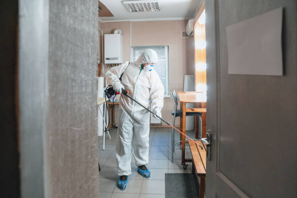 Best Emergency Mold Remediation  in Hudson Bend, TX